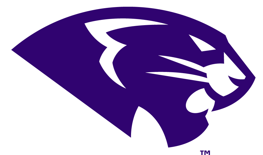 High Point Panthers 2017-Pres Secondary Logo v2 iron on transfers for clothing